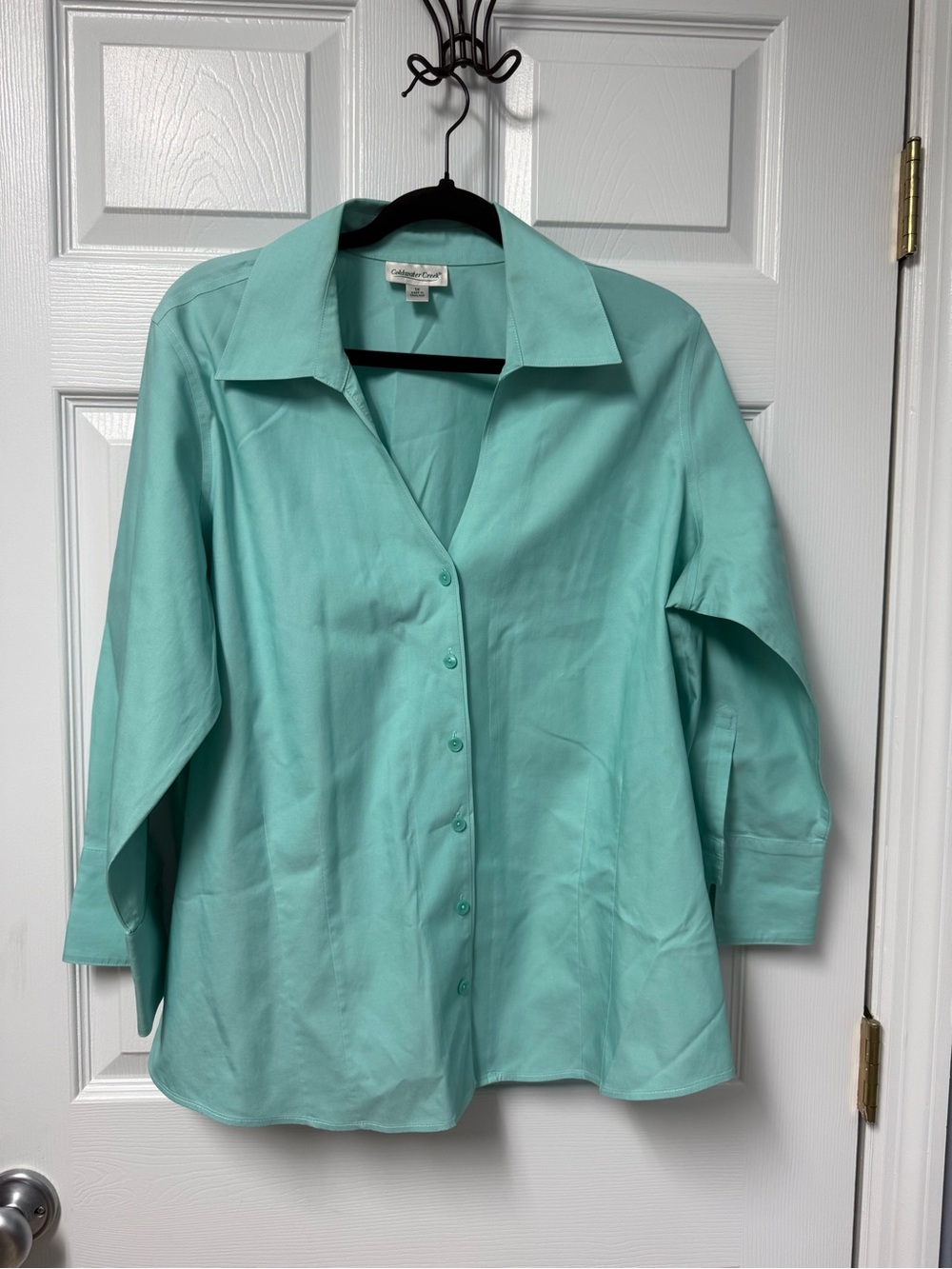 Christopher & Banks Mint Green Button-Front Collared Blouse